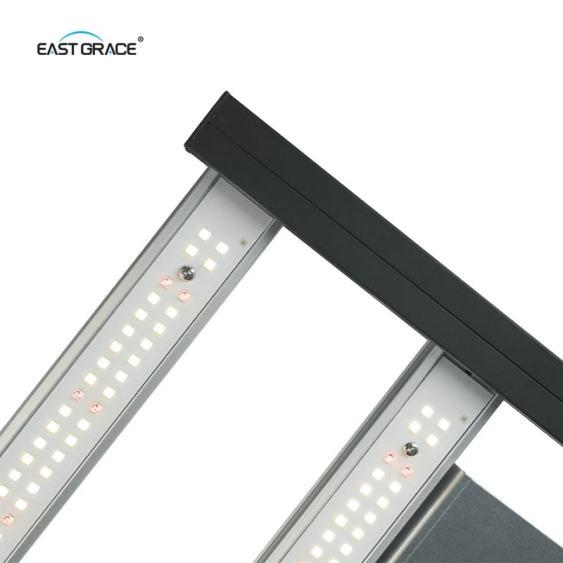 LED C (12)