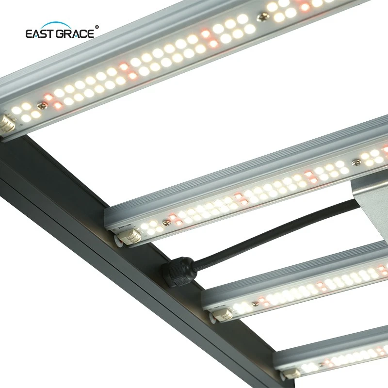 LED C (8)