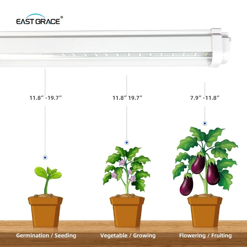 product-800-800 product-800-800