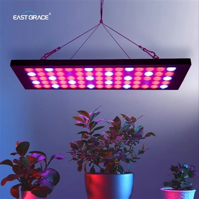 IP40 슬림 LED 성장 라이트 패널
